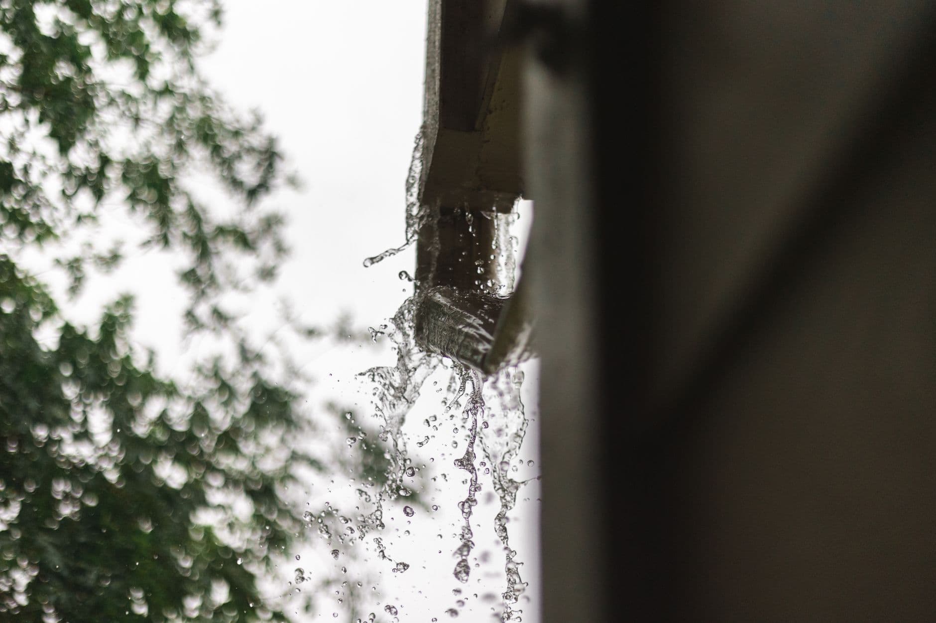 Rainwater overflowing a gutter — the kind of standing water that breeds mosquitoes