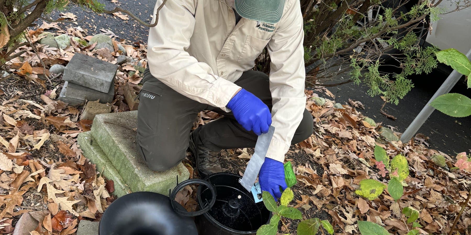 Real client property — reducing standing water and outdoor resting areas for mosquito control