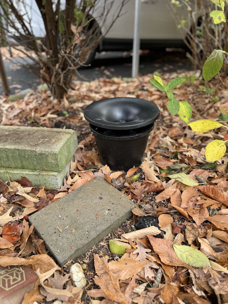 Real client property — mosquito control focuses on outdoor breeding and resting areas