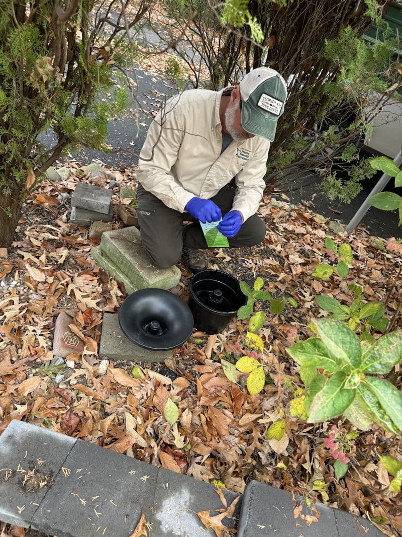 Real client property — mosquitoes breed in standing water and dense vegetation