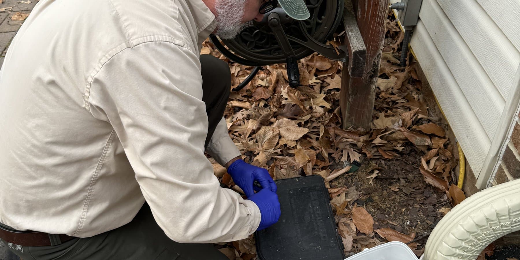 Real client property — sealing exterior access points is central to rodent control