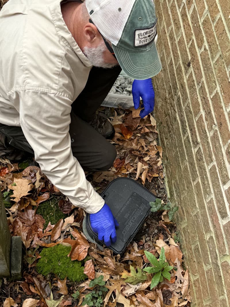 Real client property — exterior access points where rodents commonly enter