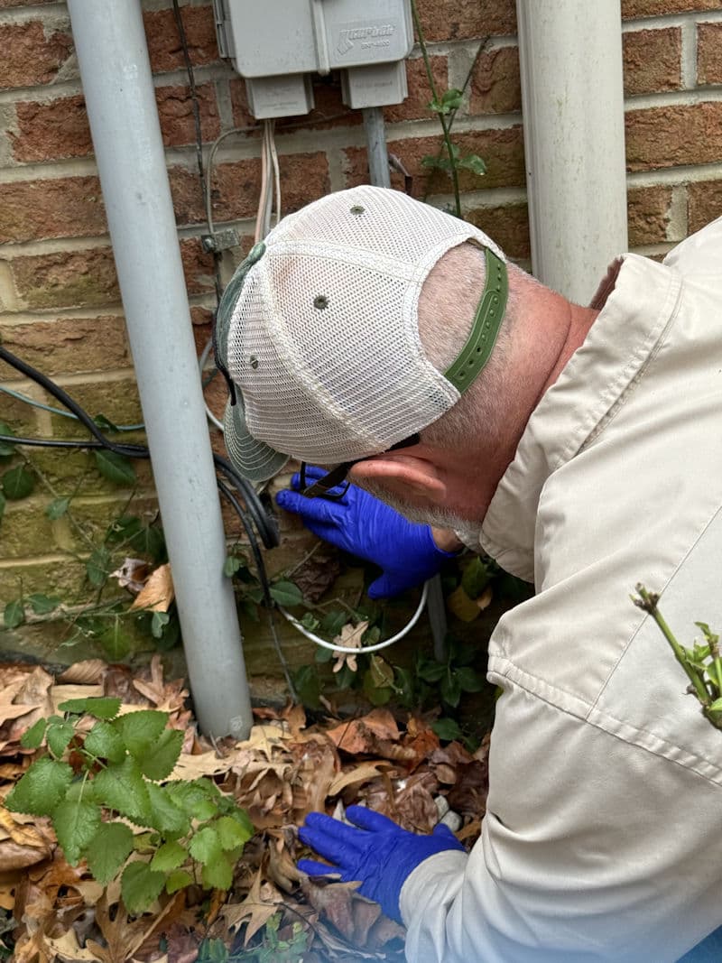 Real client property — exterior perimeter treatment for rodent control