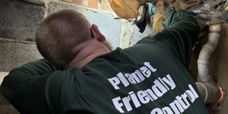 A Planet Friendly Pest Control technician during an exterior inspection
