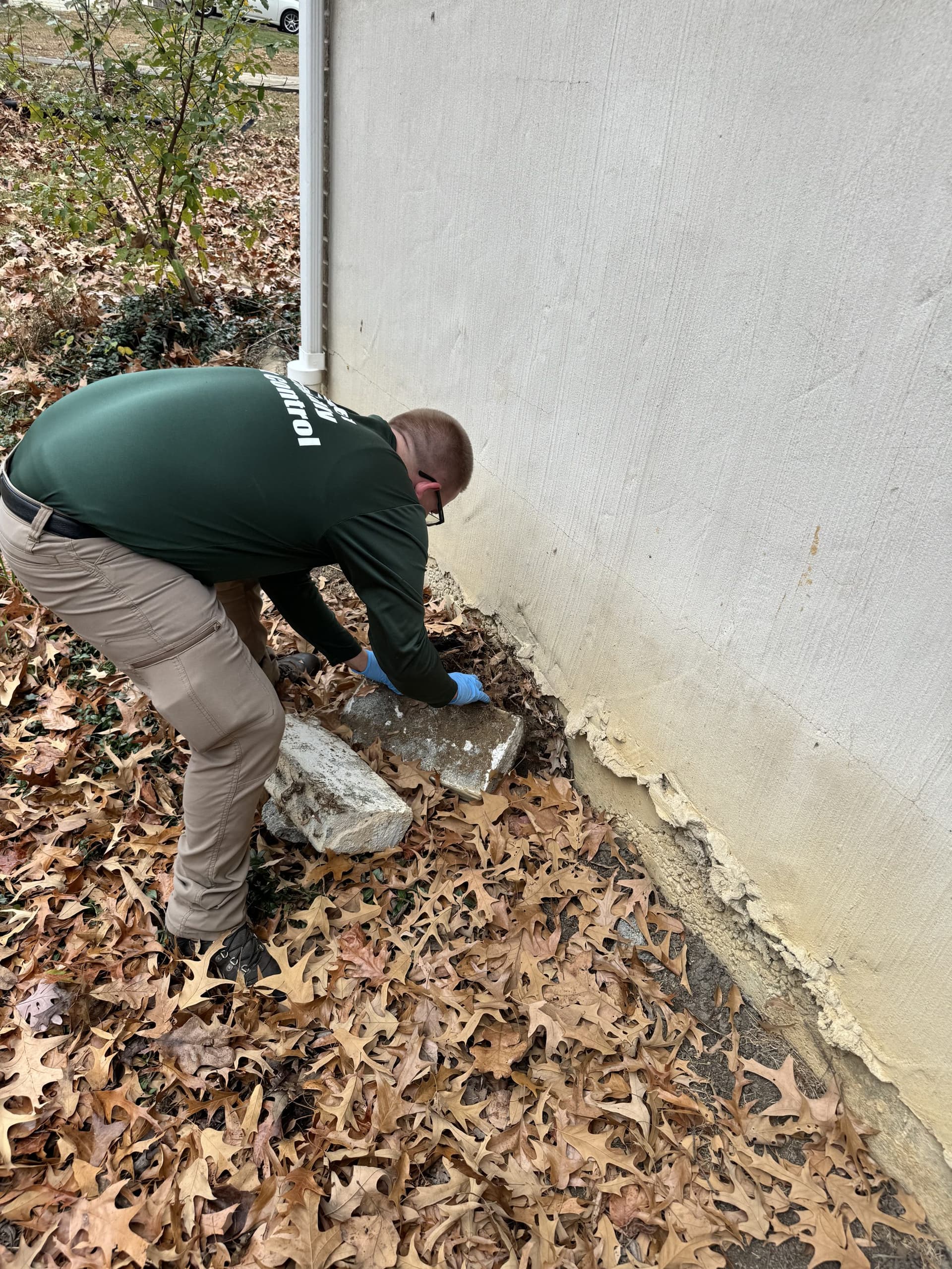 A Planet Friendly technician checking a home foundation for entry points