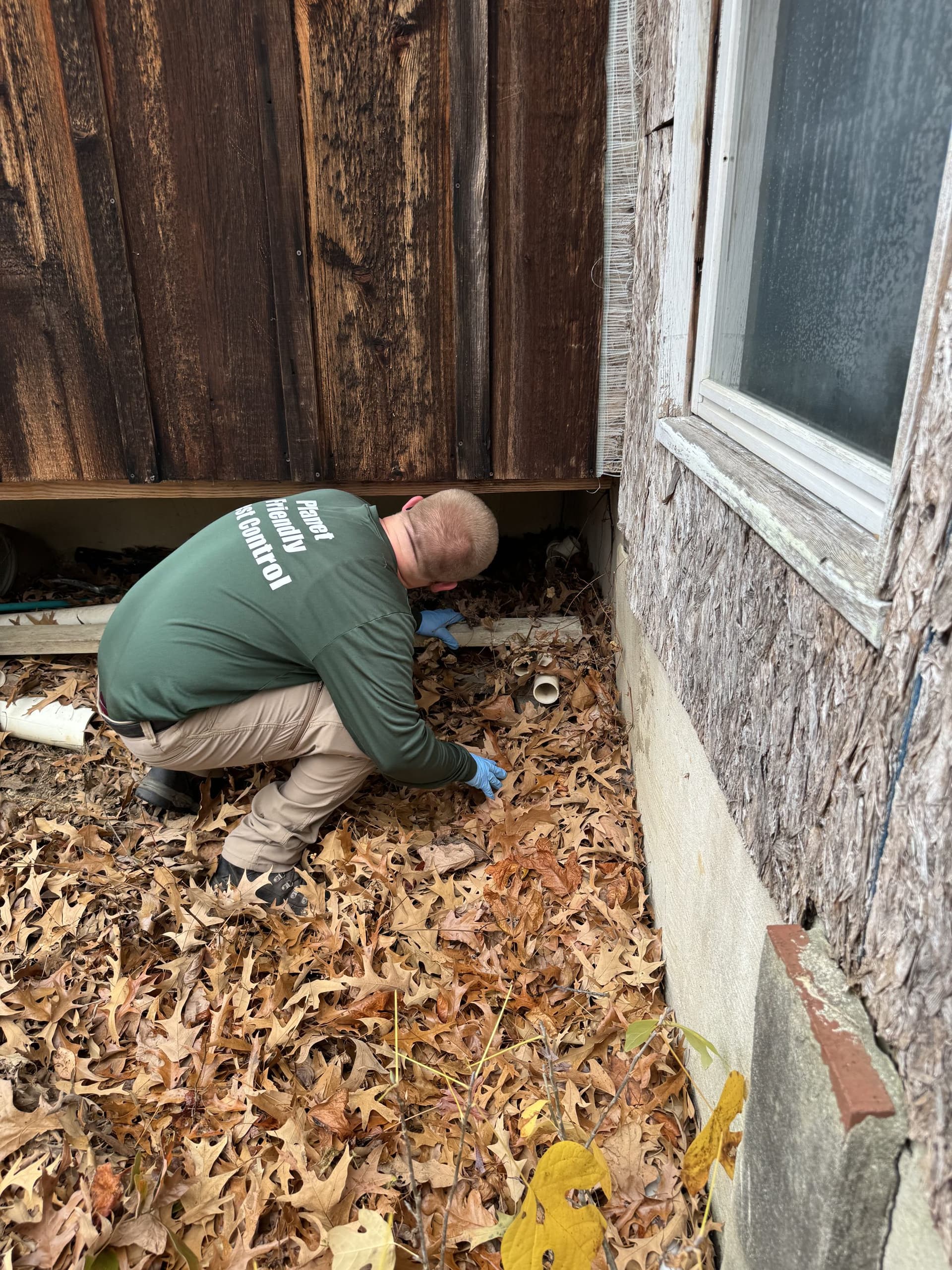Our Inspection-First, Outside-Focused Termite Control Approach