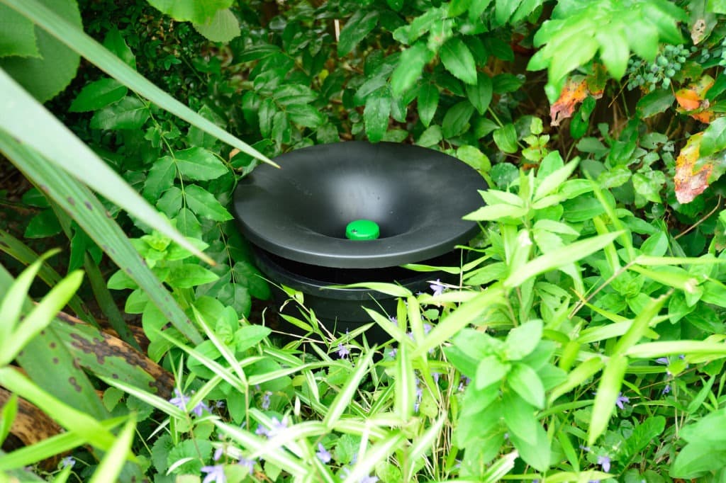 An In2Care mosquito trap placed discreetly in a shaded corner of a backyard