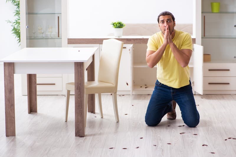 Pest Problems