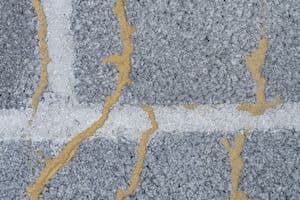 Mud tubes on a foundation wall, a common sign of termite activity