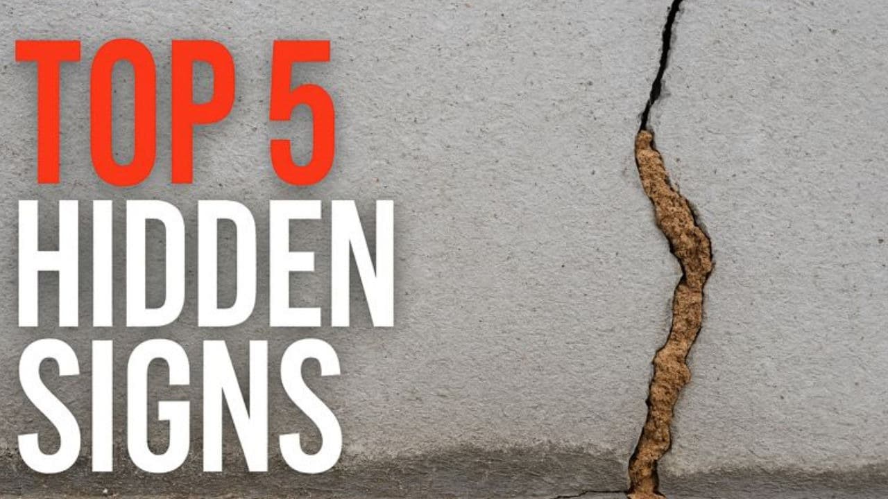 Top 5 Hidden Termite Signs in MD & VA Homes